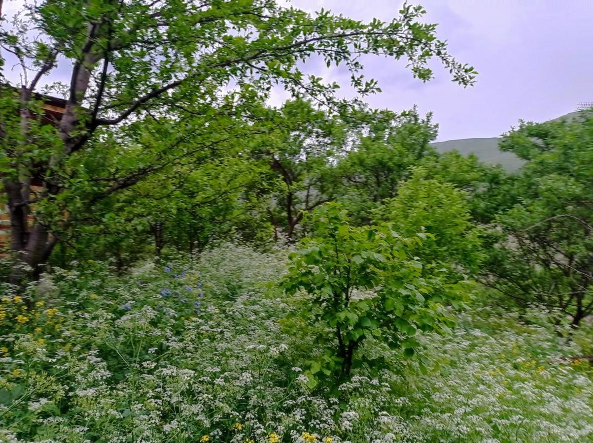 فندق Mesxta Nakalakevi المظهر الخارجي الصورة