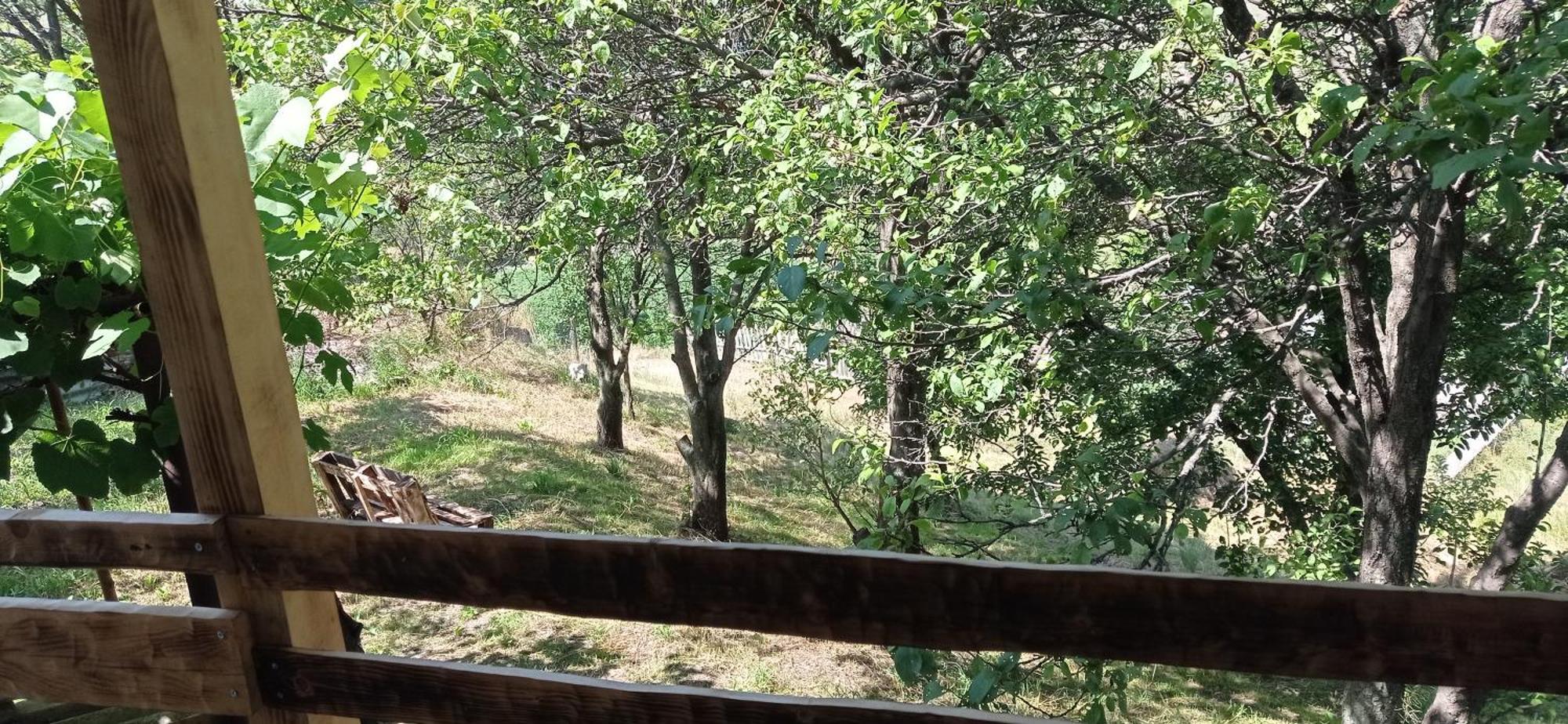 فندق Mesxta Nakalakevi المظهر الخارجي الصورة